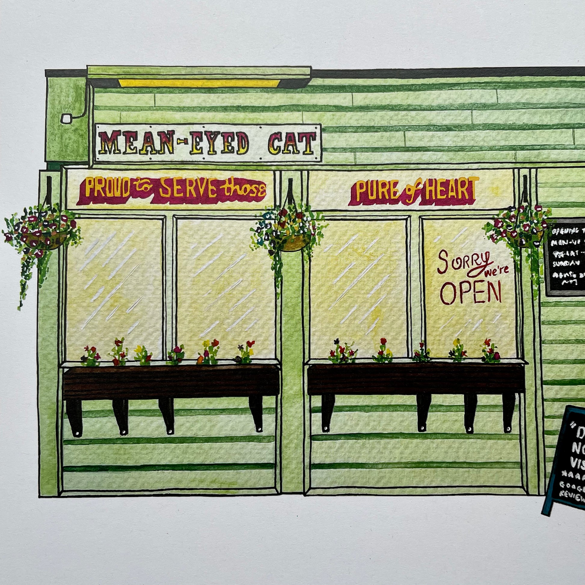 Illustration of The Mean Eyed Cat Newcastle with signs and flowers
